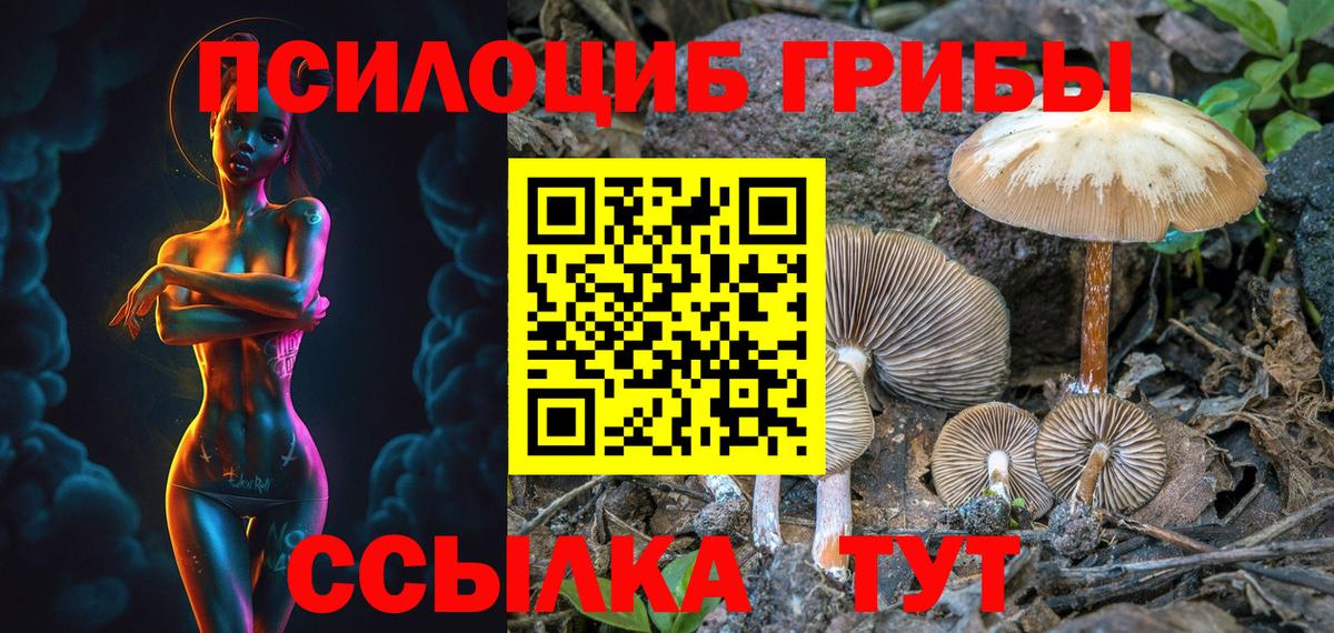 Галлюциногенные грибы GOLDEN TEACHER  Вход с VPN  Куйбышев 