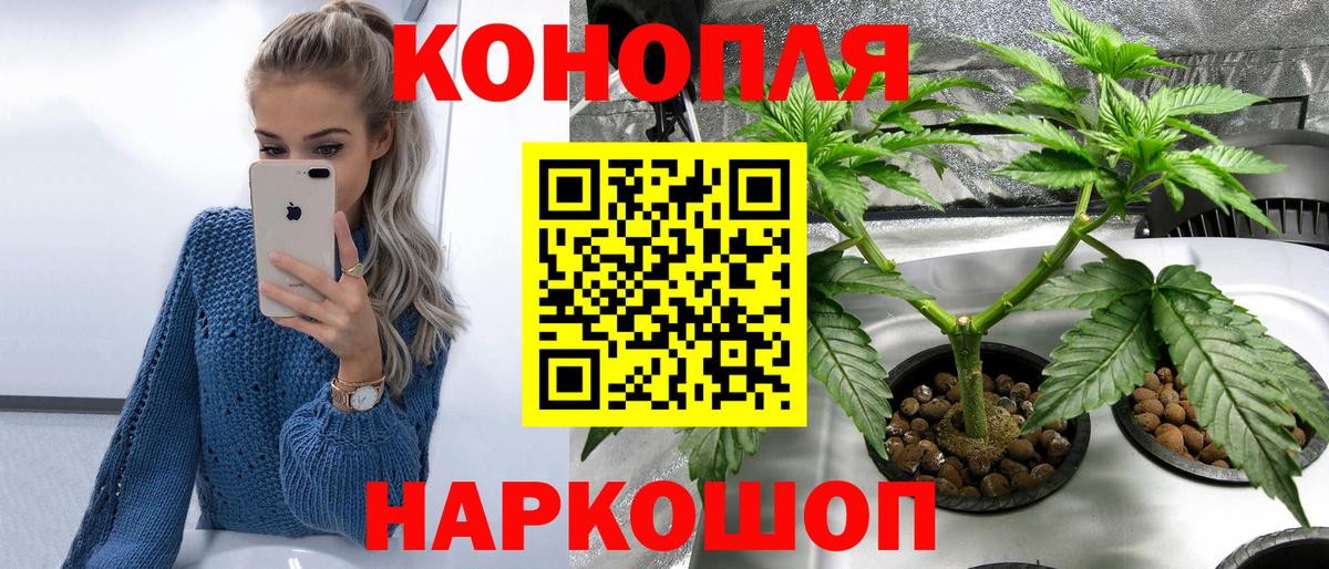Канабис OG Kush Куйбышев